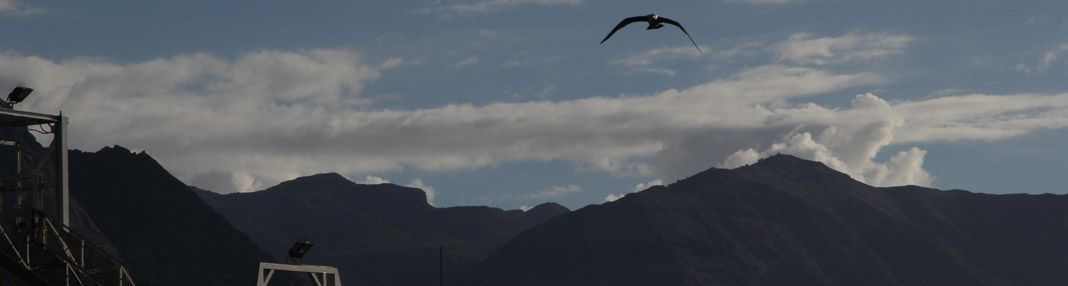 Landscape, wind turbines